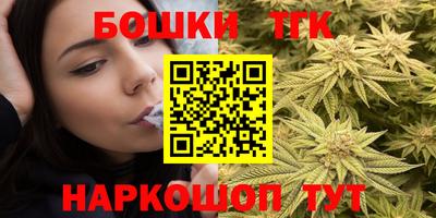 спайс Кингисепп