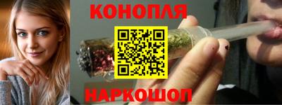 спайс Кингисепп