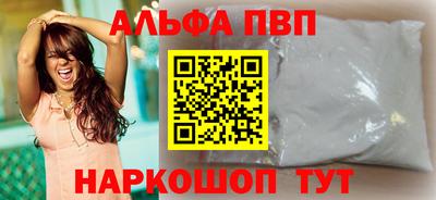 спайс Кингисепп
