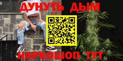 спайс Кингисепп