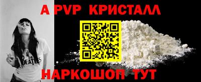 спайс Кингисепп