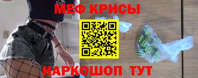 спайс Кингисепп