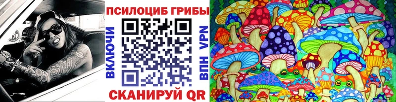 сколько стоит  KRAKEN ссылки  Галлюциногенные грибы мицелий  Новочеркасск 