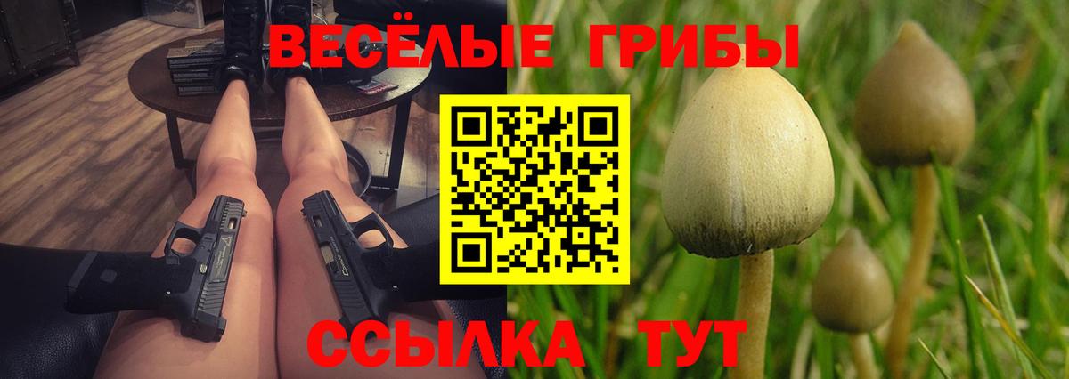 Новочеркасск  Галлюциногенные грибы ЛСД  Вход с VPN 
